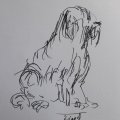 Klant imago Fineliner Triplus 0,3 mm - Zwart