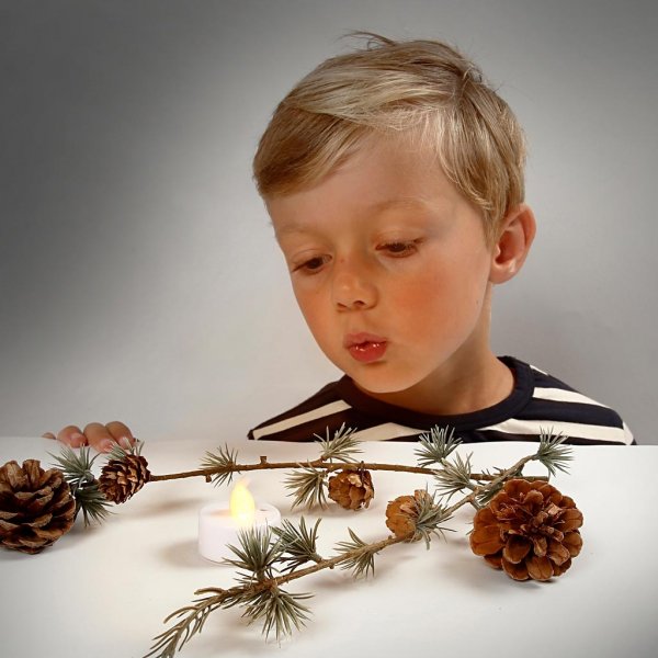 LED Warmtelamp - wit - 24 st LED Warmtelamp - wit - 24 st