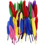 Veren - gemengde kleuren - 48 st