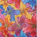 Klant imago Aquarelpen Mondeluz - 36 pennen blikken doos