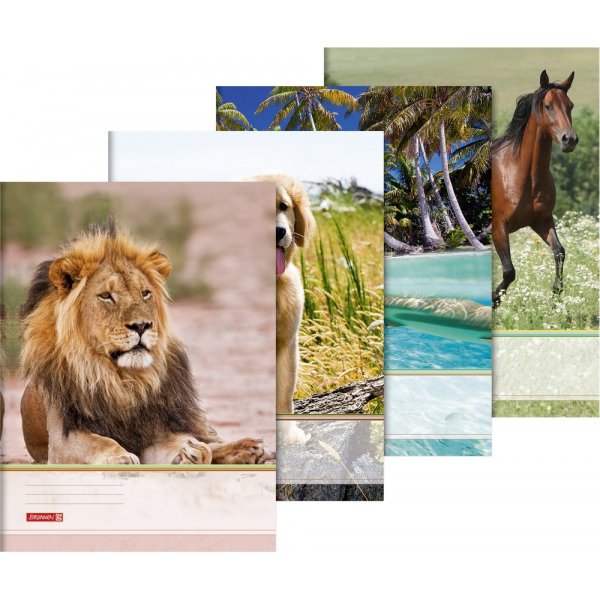 Map - A3 - dieren