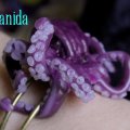Klant imago Model Fimo Effect 57g - Blauwe doorschijnendheid