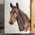 Klant imago Aquarelverf W&N Cotman Half kopje - 554 Ruwe omber