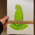 Klant imago Aquarelblok Gelijmd Koudgeperste Bogen 300g - A4