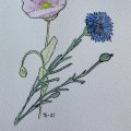 Klant imago Aquarel aquarelblok 180 x 240 mm