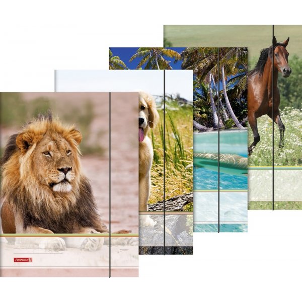 Mapje met elastieken band - A3 dieren