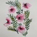 Klant imago Aquarelverf W&N Professional Half cup - 502 Permanent roze