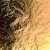 Design-Metaal - goud 5 st. Design-Metaal - goud 5 st.