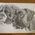 Klant imago Potlood Faber-Castell 9000 - 8B