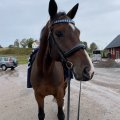 Klant imago Satijnlint - Dubbelzijdig 3mm - waterblauw