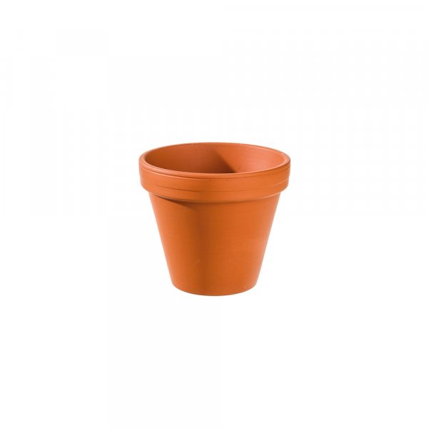 Terracotta pot