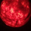 Klant imago Zuivere scheerwol 30 g - rood