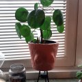 Klant imago DAS Klei 1 kg Terracotta