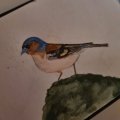 Klant imago Aquarelpotlood Albrecht Dürer - 173 Olijfgroen Geelachtig