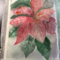Klant imago Aquarelblok Gelijmd Ruw bos Bogen 300g - A4