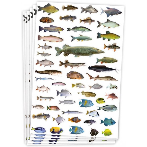 Stickers vis - 300 st