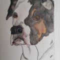 Klant imago Aquarelblok RH - A3, 297 x 420 mm