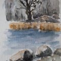 Klant imago Rembrandt Waterverfverf 5 ml - Geel/Oranje-2-Geel