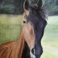 Klant imago Aquarelverf Sennelier 10Ml - Sapgroen (819)
