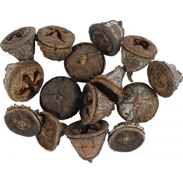 Eucalyptuskegels - 25 g