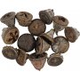 Eucalyptuskegels - 25 g