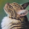 Klant imago Pastelpotlood PITT - 101 Wit Zacht