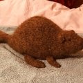 Klant imago Lett-lopi 50g - Middenbruin