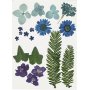 Gedroogde bloemen en bladeren - blauw