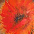 Klant imago Acrylverf Cryla 75ml - Rijk Transparant Rood Oxide