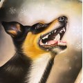 Klant imago Pastelpotlood PITT - 182 Bruin oker