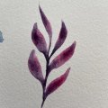 Klant imago Canson XL Aquarelle 300g - A5