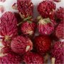 Droogbloemen - Rode klaver - 15 g