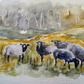 Klant imago Aquarelblok Hahnemühle Cornwall 450g Grof - 30x40cm