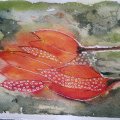 Klant imago Aquarelblok Gelijmd Ruw bos Bogen 300g - A4