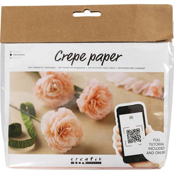 Mini DIY Kit Crpepapier - Anjers