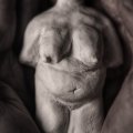 Klant imago Sculpey Originele Klei 800g - Wit
