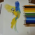 Klant imago Aquarelpen Mondeluz - 36 pennen kartonnen doos