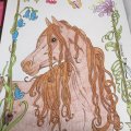 Klant imago Kleurpotlood Polychromos - 187 Oker gebrand