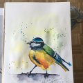 Klant imago Aquarelverf W&N Cotman tube 8 ml - 654 Turkoois
