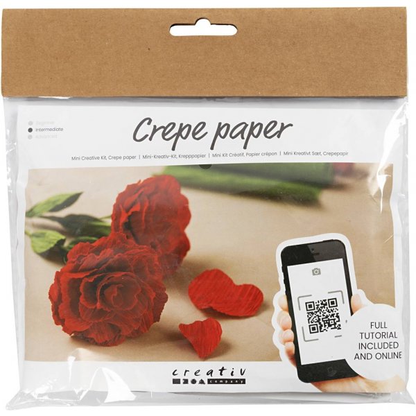 Mini DIY Kit Crępepapier - Rozen Mini DIY Kit Crępepapier - Rozen