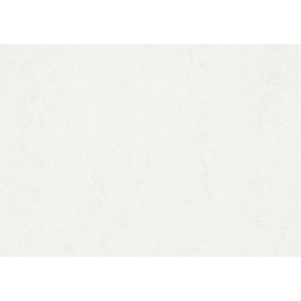 Aquarelpapier - wit - A2 - 200 gr - 100 vellen