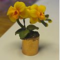 Klant imago Model Fimo Zacht 57g - Geel