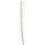 Bloemstelen - groen - 0,6 mm - 20 st