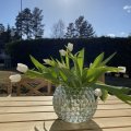 Klant imago Glazen bollen 18 - 20 mm - kristalhelder 100 g / 20 st.
