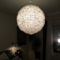 Klant imago Decoratieve veer 50-100 mm - vanille 10 g ~ 110-pack