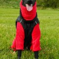 Klant imago Wellnessfleece Rood - 150 cm