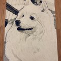 Klant imago Copic Ciao - C-3 - Cool Grey Nr. 3