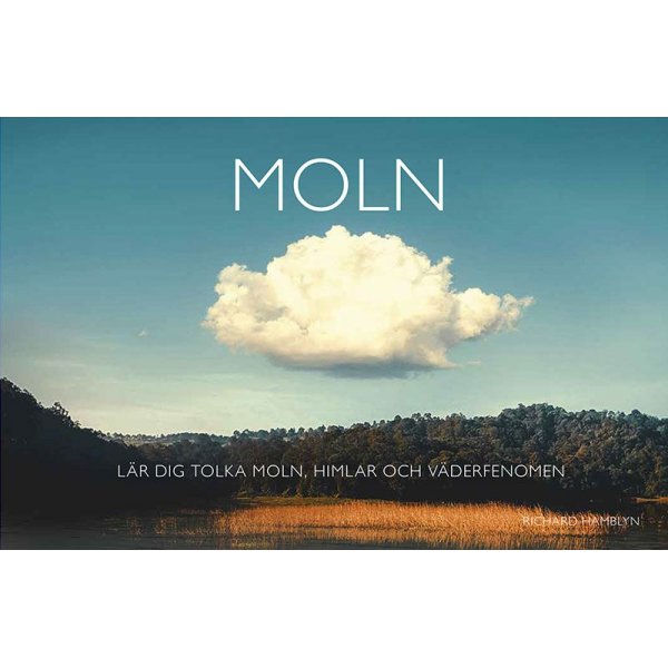 Wolk
