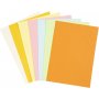 Pastelkarton - pastelkleuren - A4 - 210 vellen