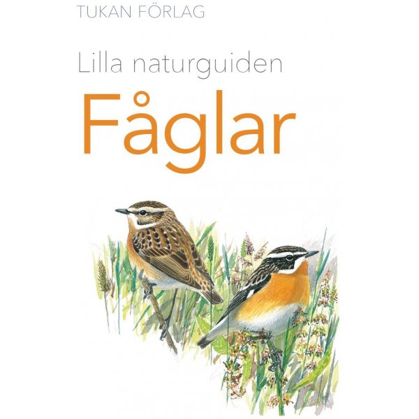 Kleine natuurgids: Vogels